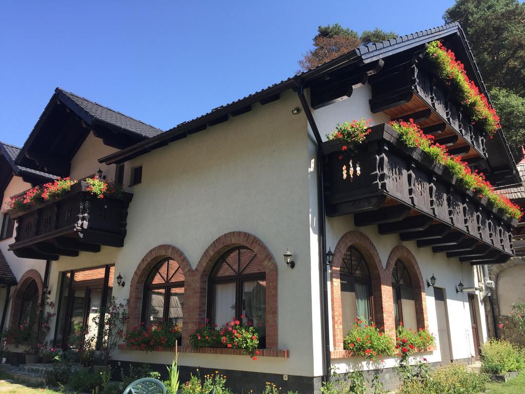 Casa Stefania Hotel Talmacel Ngoại thất bức ảnh